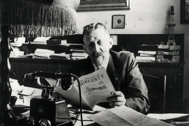 Nazi Arzt Eugen Fischer entwickelte seine rassistischen Theorien durch Experimente mit Gerfangenen auf Shark Island